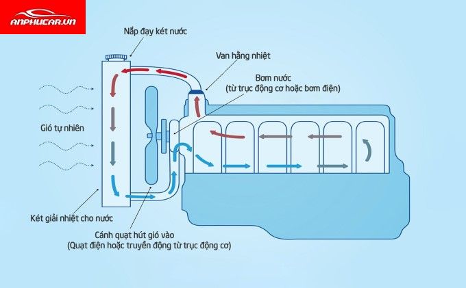 Hướng dẫn kiểm tra nước làm mát ô tô và cách châm thêm